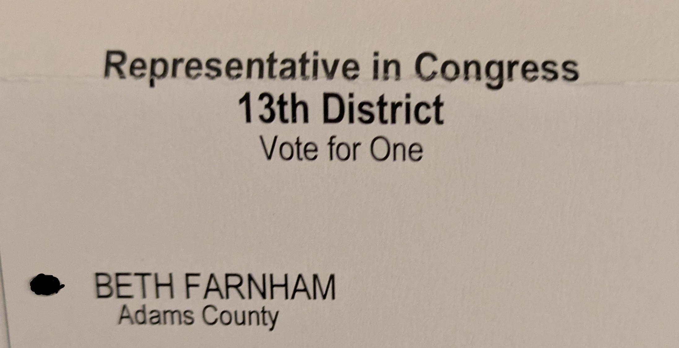 Please Vote for Me to Represent US!